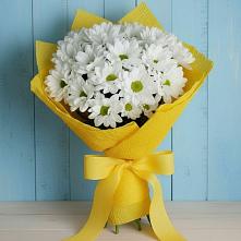 Букет цветов из:  Хризантемы #REPLACE_PRED# Бугры Ленинградская область
