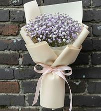 Букет цветов из:  Гипсофила в Бугры Ленинградская область