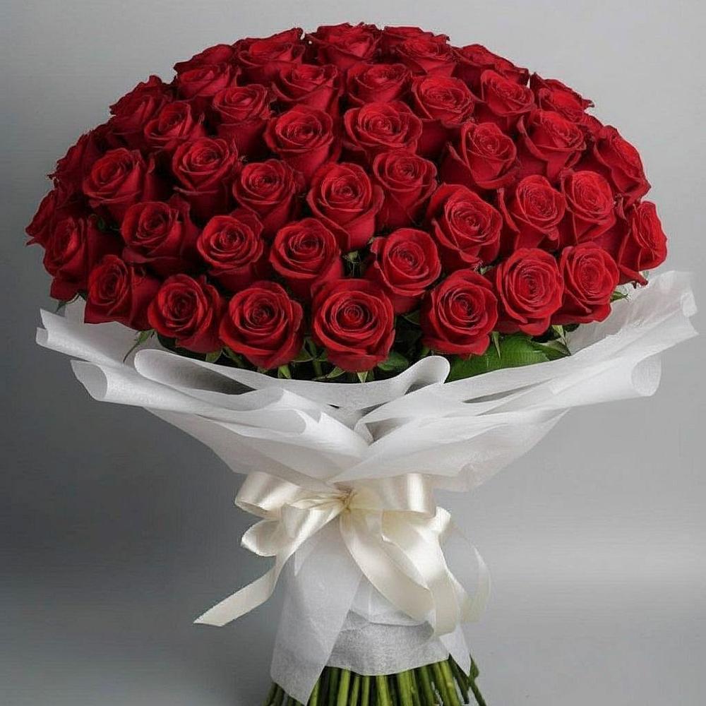 Букет 101 Красная роза Блэк Мэджик в Бугры Ленинградская область