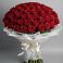Букет 101 Красная роза Блэк Мэджик в Бугры Ленинградская область