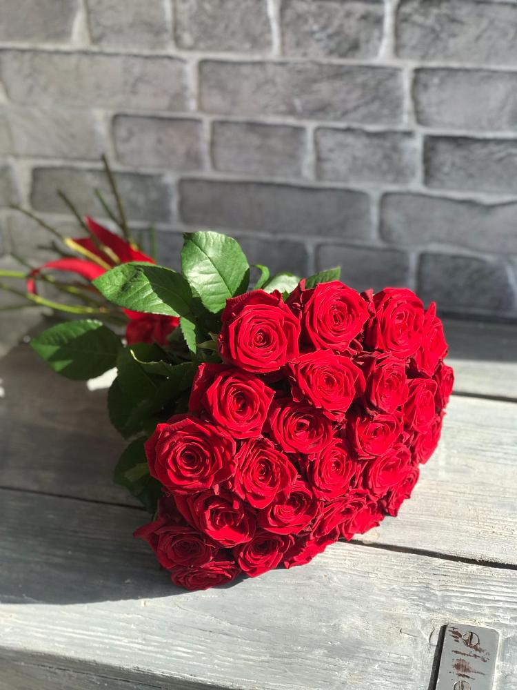 Букет Красные розы Фридом в Бугры Ленинградская область