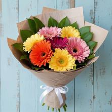 Букет цветов из:  Герберы в Бугры Ленинградская область