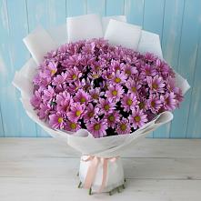 Букет цветов из:  Хризантемы в Бугры Ленинградская область