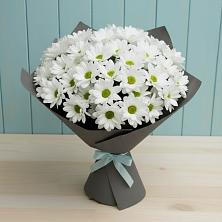 Букет цветов из:  Хризантемы в Бугры Ленинградская область