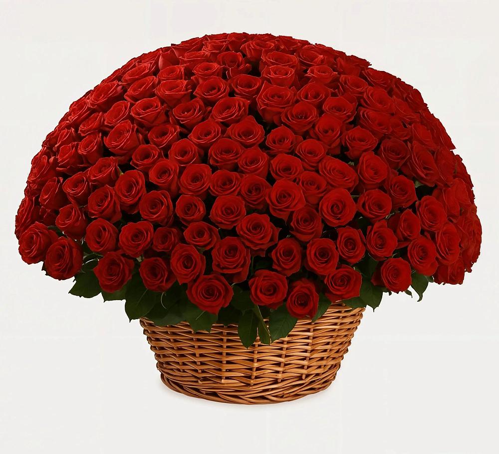 Премиум букет из: Розы в Бугры Ленинградская область