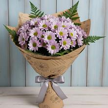 Букет цветов из:  Хризантемы в Бугры Ленинградская область