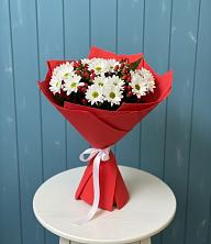 Букет цветов из:  Хризантемы в Бугры Ленинградская область