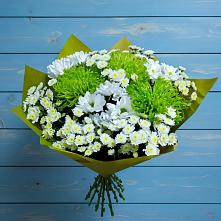 Букет цветов из:  Хризантемы в Бугры Ленинградская область