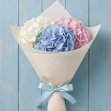 Букет цветов из:  Гортензия в Бугры Ленинградская область