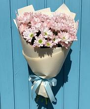 Букет цветов из:  Хризантемы в Бугры Ленинградская область