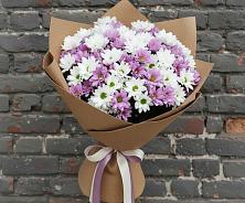 Букет цветов из:  Хризантемы в Бугры Ленинградская область