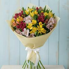 Букет цветов из:  Альстромерии в Бугры Ленинградская область