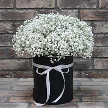 Цветочная композиция из Гипсофила в шляпной коробке в Бугры Ленинградская область