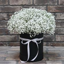 Цветочная композиция из Гипсофила в шляпной коробке в Бугры Ленинградская область
