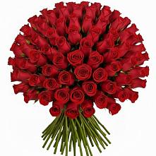 Букет Красные розы Чери Лав #REPLACE_PRED# Бугры Ленинградская область