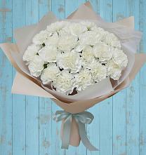Букет цветов из:  Гвоздики в Бугры Ленинградская область