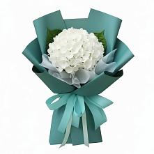 Букет цветов из:  Гортензия в Бугры Ленинградская область